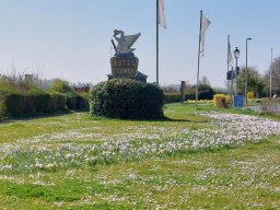 WhatsApp Image 2022-03-27 at 15.02.23(1)